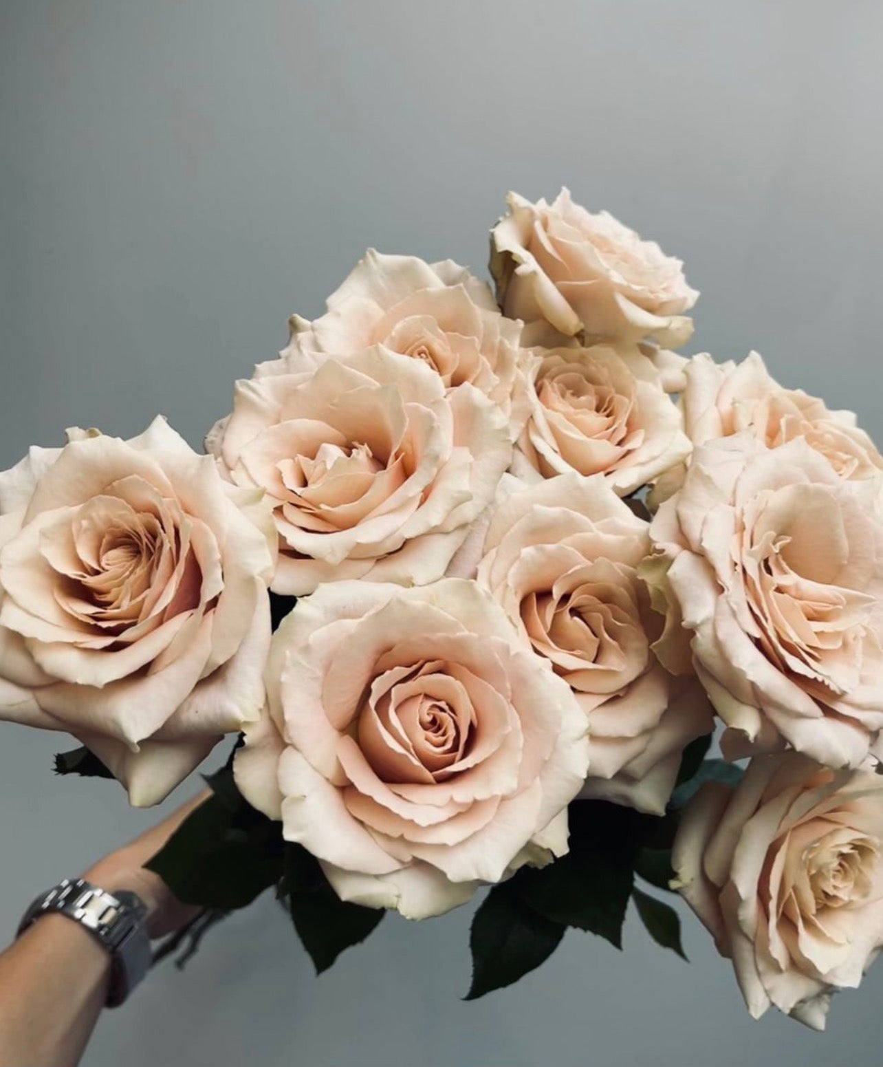 Muse — Quicksand Rose Designer Arrangement