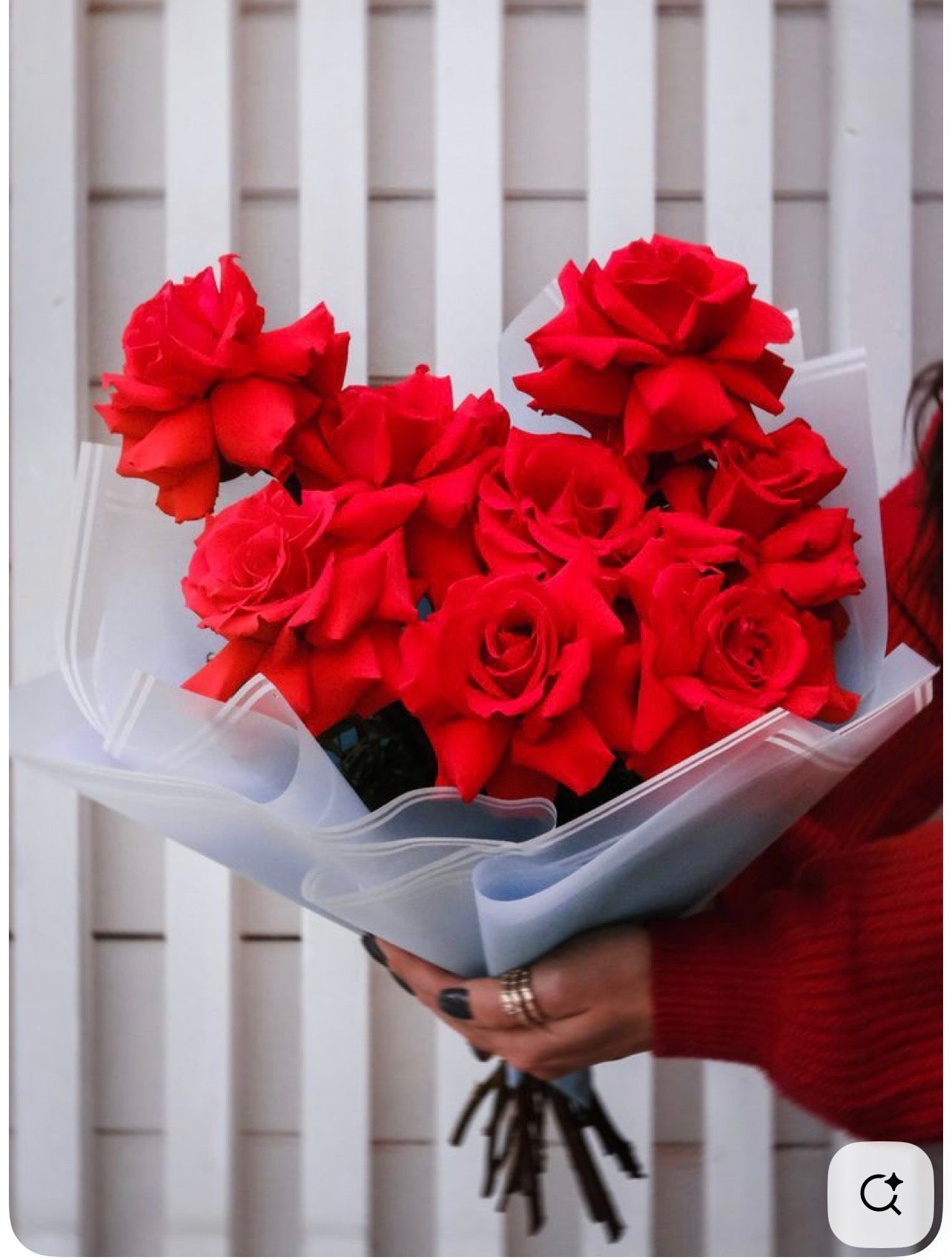 Amour Rose Collection| Choose Between Classic Red, Romantic Soft Pink, Red & Pink Mix