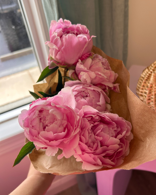 Ten stem wrapped Peony bunch