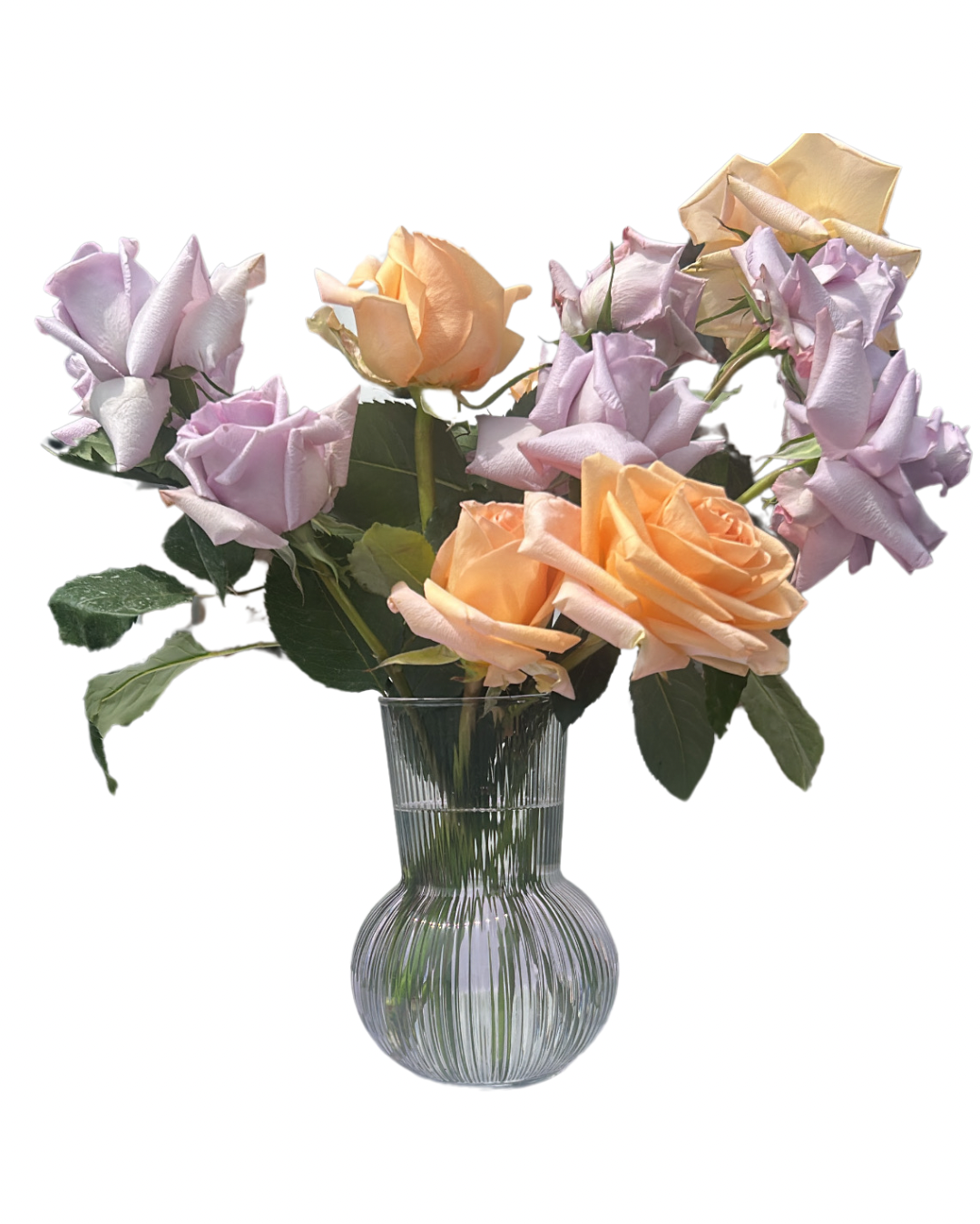 The Classic Dozen Roses